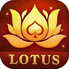 teen patti raja game online download